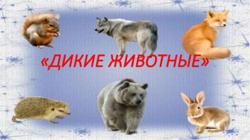 Тематическая неделя "Дикие животные" Тематическая неделя "Дикие животные".