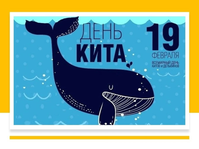 Всемирный день кита Всемирный день кита.